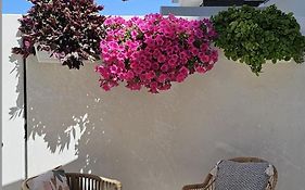 Albayda Garden
